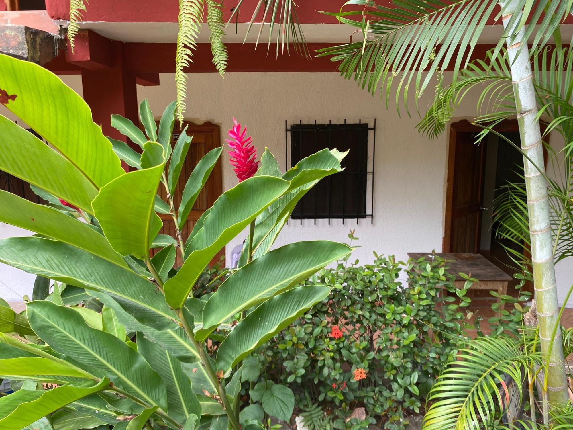 Hotel Posada La Canada Palenque Exterior foto